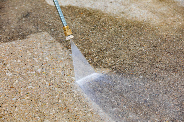 Best Roof Washing  in Three Lakes, WA